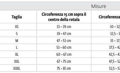 ginocchiera